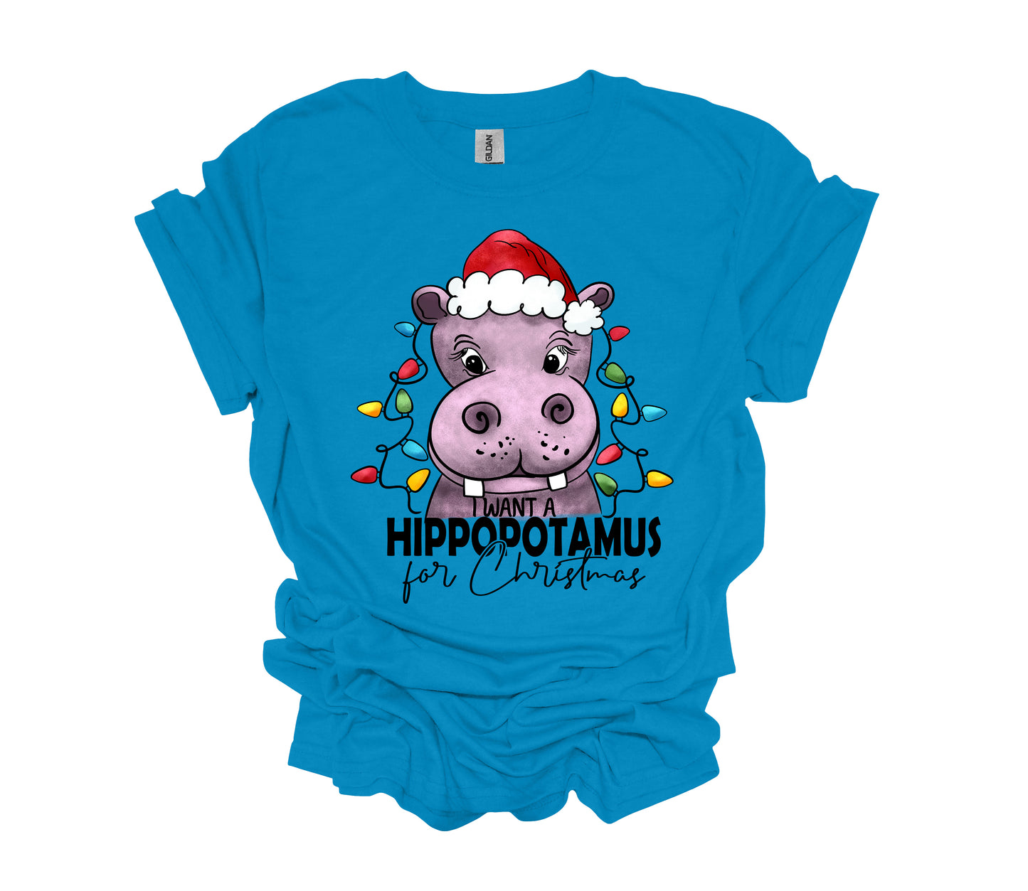 Christmas Design, I Want A Hippopotamus For Christmas, Hippo Shirt, Unisex Shirt